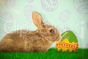 Composite image of side view of cute brown rabbit