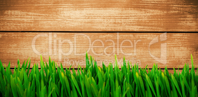 Composite image of grass growing outdoors