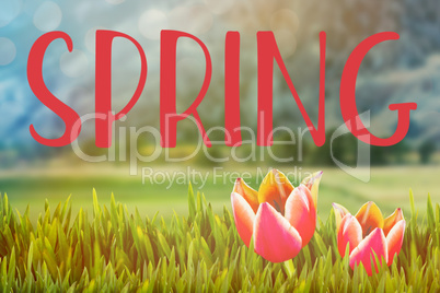 Composite image of easter greeting