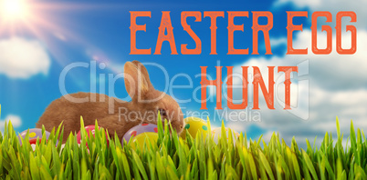 Composite image of brown bunny with colorful easter egg