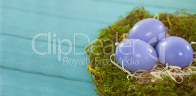 Violet Easter eggs against blue wood background