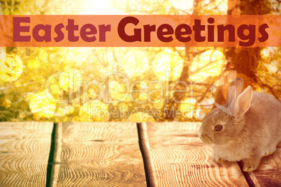 Composite image of easter greeting