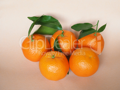 tangerine fruit food