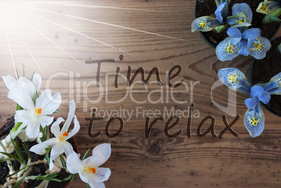 Sunny Crocus And Hyacinth, Text Time To Relax