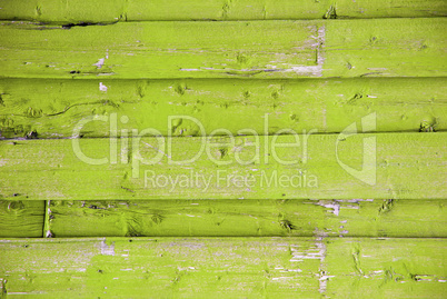 Light Green Wooden Background With Copy Space