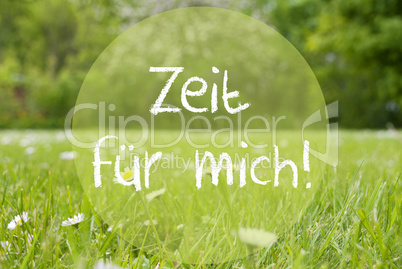 Meadow, Daisy Flowers, Zeit Fuer Mich Means Time For Me