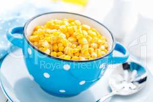 Corn canned, white background