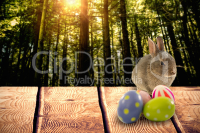 Composite image of brown bunny and easter eggs