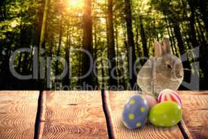 Composite image of brown bunny and easter eggs