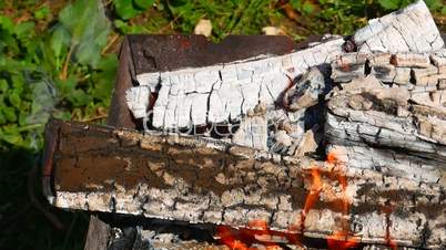 Firewood burning in metal tray