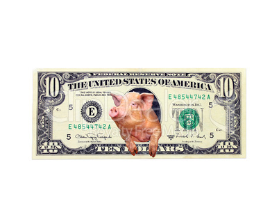 pig looks out of ten dollars note instead the American president isolated