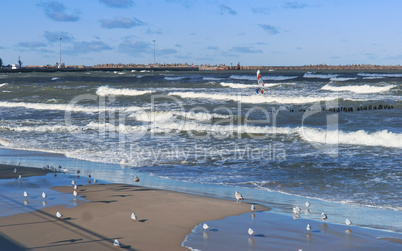 sea, beach, sky, water, travel, seagull, flying, bird, coast, baltic