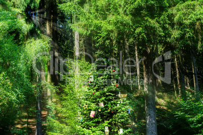 Decorated Christmas tree in the forest