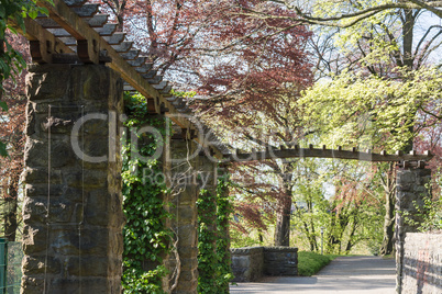 Wooden pergola covered with ivy