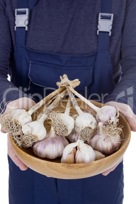 Garlic in a wooden bowl in hands