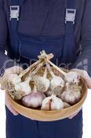 Garlic in a wooden bowl in hands