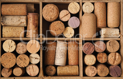 Old bottle cork