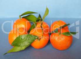 tangerine fruit food