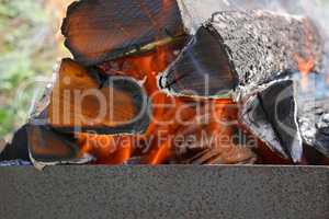Firewood burns in metal tray close-up