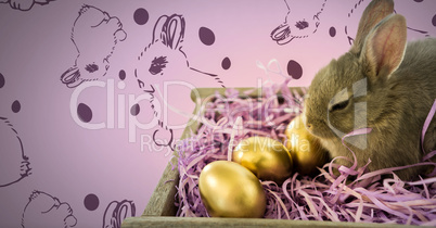 Easter Rabbit with eggs and pattern