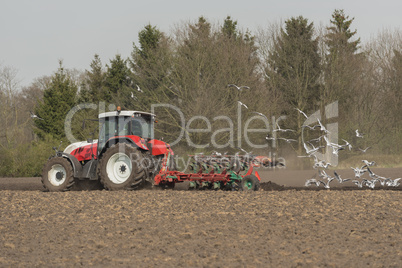 Agriculture ploughing tractor with seagulls.
