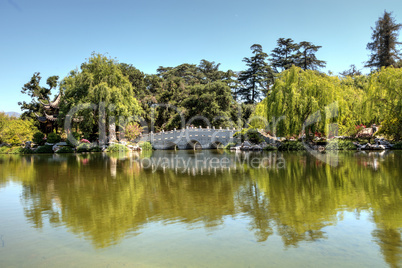 Chinese garden at the Huntington Botanical Gardens