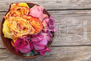 Rose petals in a bowl in the colors of a sunset