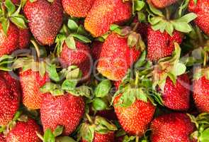 Background of fresh juicy ripe strawberries