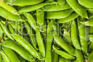 Background of young green peas in the pod