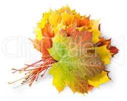 Bouquet Of Autumn Leaves
