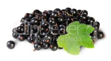 Bunch Of Black Currant With Leaf Rotated