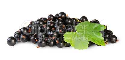 Bunch Of Black Currant With Leaf