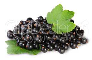 Bunch Of Black Currant With Two Leafs