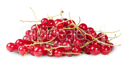 Bunch Of Red Currant