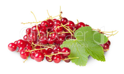 Bunch Of Red Currants With Currant Leaves