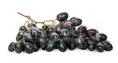 Bunch of ripe dark grapes