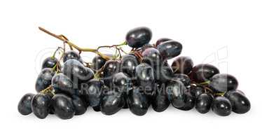 Bunch of ripe dark grapes