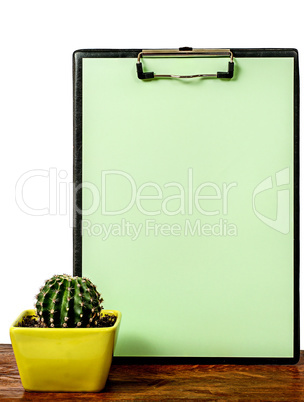 Cactus on the desk near the greenish board