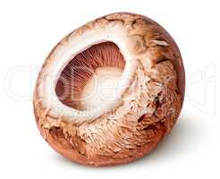 Cap on a brown champignon rotated