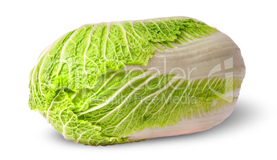 Chinese cabbage horizontally