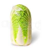 Chinese cabbage packed into polyethylene