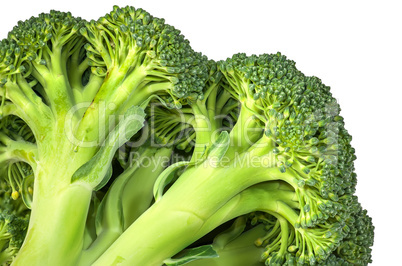 Closeup inflorescence of fresh broccoli