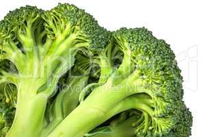 Closeup inflorescence of fresh broccoli