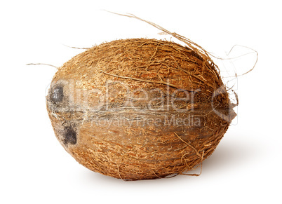 Coconut lying horizontally
