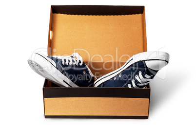 Dark blue sports shoes in cardboard box