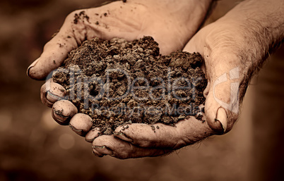 Elderly man holding soil in hands