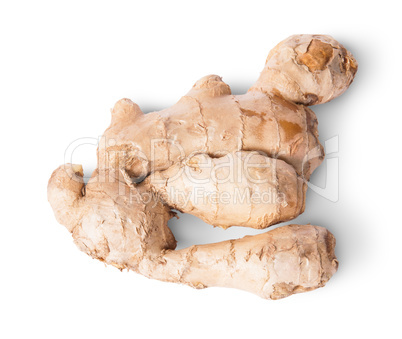 Entire ginger root top view reverse