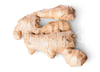Entire ginger root top view