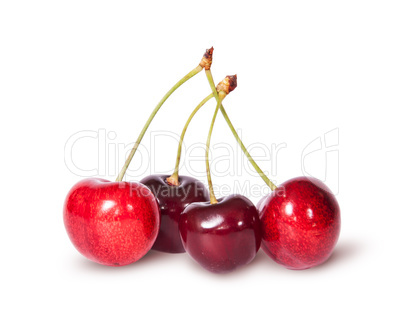 Four red juicy sweet cherries