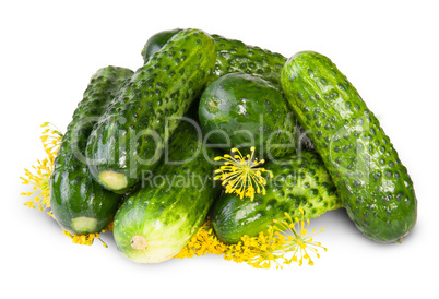 Fresh Cucumbers And Dill